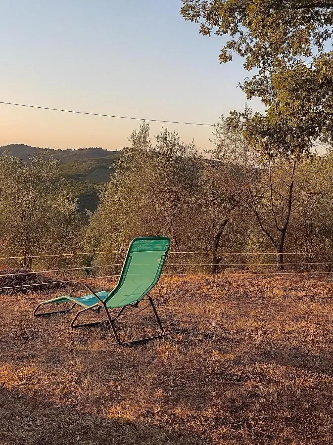 Casanova Di Ricavo Villa Gaiole in Chianti Tatil Evi